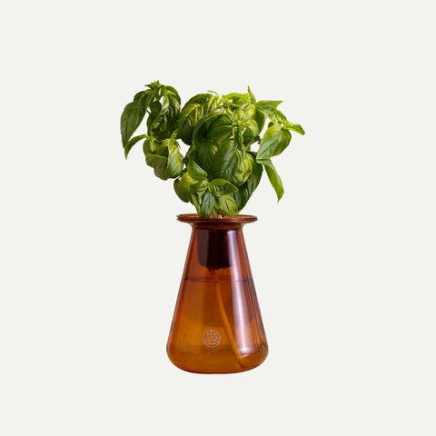 Countertop Hydroponic Garden Kit With Led Grow Light For Indoor Herbs And Lettuce, Space Saving Planter in brown vase