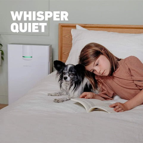 Front view of white Hathaspace HSP002 air purifier with green light beside bed; woman and dog reading a book.