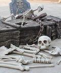 Wooden coffin with plastic skeleton and skull from 28 Piece Skeleton Bones And Skull Set For Halloween Decor Spooky Graveyard Ground Props For Lawn Patio And Garden Haunted House Party Decoration Realistic Look And Affordable Quality