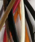 Stripped Goose Biots Combo Kit For Fly Tying, Durable Quills, Various Colors for Clear Segmentation in Nymph Patterns