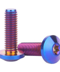 4 Piece Titanium Bolts M8x15mm M8x20mm M8x25mm M8x30mm Set With Torx T30 Head Grade 5 Fully Threaded Burnt Blue Finish