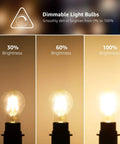 Brightness levels of vintage style dimmable LED filament bulbs 8W 800LM 60W equivalent, showing 30%, 60%, and 100% light intensity.