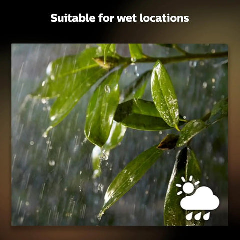 Leaves in rain illustrating weatherproof Outdoor 16 Foot Cable Extension For Hue Lighting with wet location suitability icon.