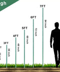 Heavy Duty 7Ft Garden Stakes Pack Of 25 Plastic Coated Steel Plant Supports height comparison with man silhouette