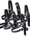 Adjustable Anti Drop Shoe Straps Premium Pumps Accessories, six pack black PU ankle bands for secure, custom fit, durable metal.