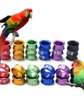 Multi Color Aluminum Pigeon Leg Bands Set Of 50 Open Ring Foot Rings for Birds 4 to 8mm Identification, colorful display with parrots