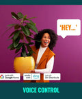 Person holding plant next to 'Hey...' speech bubble, showcasing Clear 60W ST19 Filament LED Smart Bulb Pack Of 6 Indoor E26.