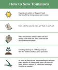 Step-by-step guide on how to sow tomatoes, including expanding coir pellets, planting seeds, and seedling care.