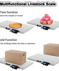 Heavy Duty Workhorse Electronic Platform Scale Built Tough For Livestock Shipping Large Breed Dog Weighing Multi Purpose Commercial Stainless Steel Floor Ready Station showing tare and hold functions with objects.