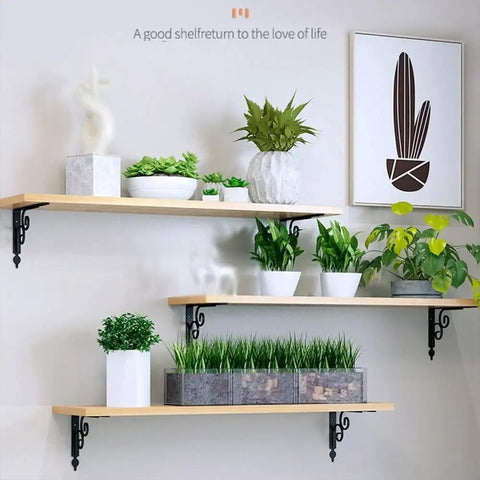 Heavy Duty Corner Brackets Four Pack L Shape Shelf Supports Rust Proof Iron Angle Braces for secure wall mounting with plants.