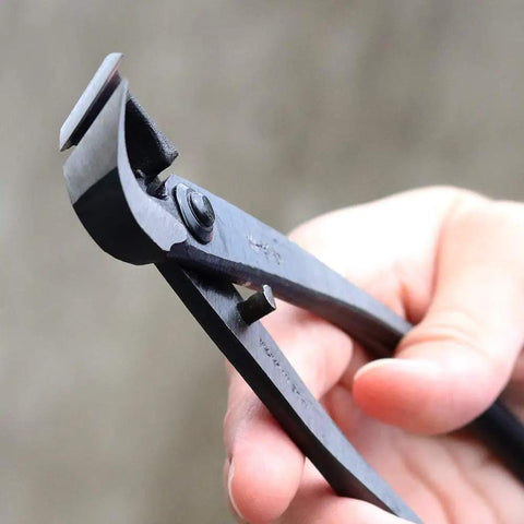 Pro Grade Bonsai Tool Kit 4 Piece Set With Yasugi Steel Satsuki Bonsai Scissors 8 Inch Concave Cutter in hand for trimming
