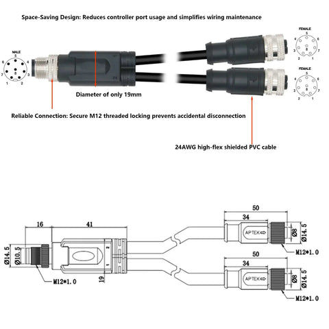 M12 8-Pin A-Code 1-To-2 Y-Splitter Cable Shielded PVC 30cm, diagram showing dimensions and connections for industrial automation.