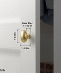 Top Shelf Champagne Bronze Cabinet Knobs With A Hammered Oval Dome And Soft Metallic Luster Gives Your Space A Real Deal Modern Twist Perfect For Updating Kitchen Drawers And Furniture Arrives In A Quick Six Pack Bundle, shown on cabinet door.