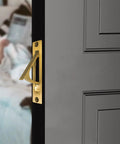 Sleek Hidden Edge Pull For Smooth Sliding Pocket Doors Killer Gold Finish Hardware on dark door, showing modern design and installation.