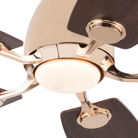 Ceiling Fan with Light 45W Wireless Remote 5 Blades Iron Indoor Mount close-up of light and blades from below