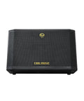 300W Acoustic Guitar Amp For Busking And Live Shows, All In One PA System showcasing front grille and logo design.