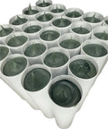 Close-up of tubes containing Four Boxes Forty Tubes Green Two Lithium Complex Electric Motor General Purpose Grease With 410 F Dropping Point