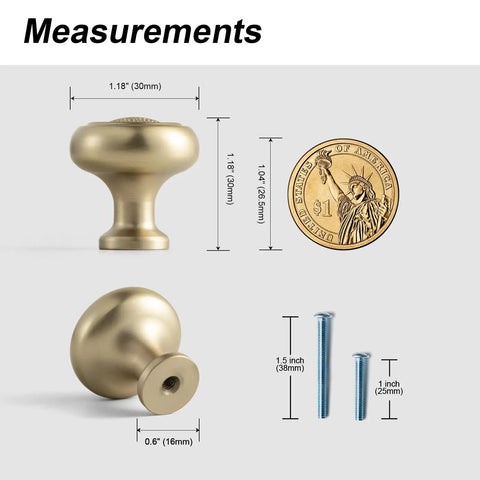 Set Of Six Champagne Bronze Cabinet Knobs In Zinc Alloy Modern Hardware measurements with size comparison to coin and screws