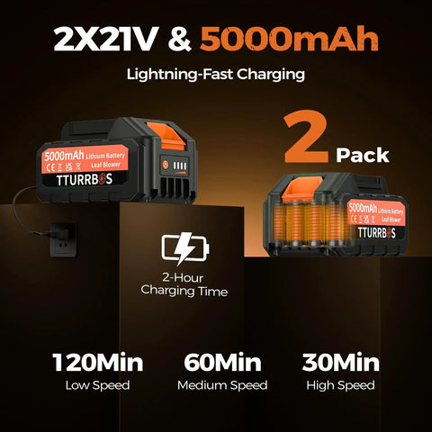 Beast Power Cordless Leaf Blower 5.0Ah batteries and charger, two-pack, with charging time and speed settings information.