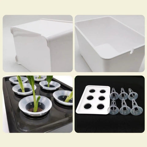 Six Holes Seedling Kit For Hydroponics Growing System with sturdy PP box and seedling inserts, suitable for home gardens.