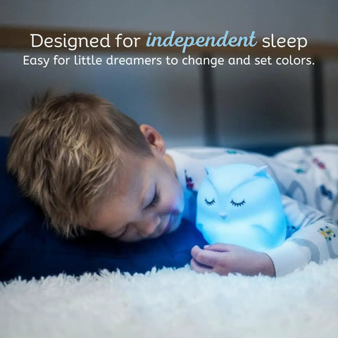 Kid Friendly Remote Control Owl Night Light For Kids, 9 Soft Color Modes, Sleep Timer, Rechargeable USB Lamp For Bedroom, Baby Nursery, Toddlers, Girls And Boys At Home glowing blue beside sleeping child.