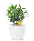White pot with plant and 6X Soil Moisture Meter With Watering Alarm And Hygrometer Sensor For Plants, yellow bird decor