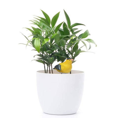 White pot with plant and 6X Soil Moisture Meter With Watering Alarm And Hygrometer Sensor For Plants, yellow bird decor