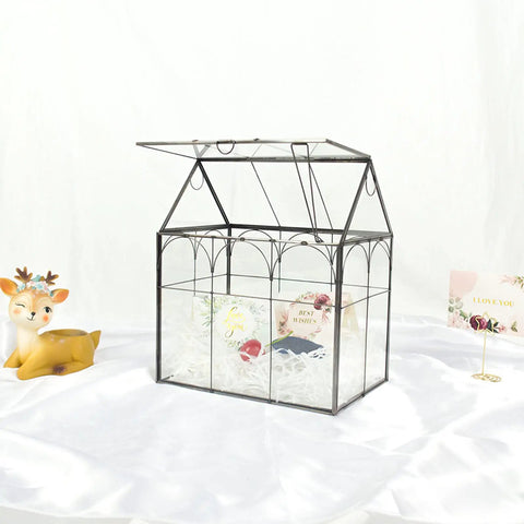Large Tall Glass Terrarium With Lid For Indoor Plants Dope Desktop Greenhouse Enclosure For Orchids Succulents And Cacti Tall Tabletop Display In Black Frame 8.7 By 5.9 By 10.6 Inches Easy Lift Lid