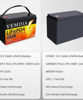 Comparison image of Beefy 12V 100Ah LiFePO4 Battery with Built In 100A BMS and another battery model