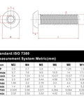 Hella Smooth M6 Button Head Socket Cap Screws 304 Stainless Steel 18 8 dimensions and specifications chart for 10mm length.