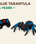Remote Control Tarantula For Kids With LED Eyes Realistic Spider Toy With Moving Legs Fast Speed And 360 Degree Spin Blue RC