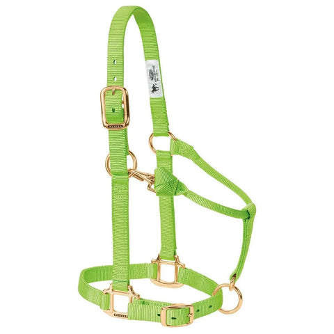 Adjustable Nylon Horse Halter For Weanlings And Ponies Durable Nylon With Triple Ply Cheek Box Stitch Reinforcement Built To Last