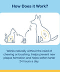 Diagram showing use of PlaqueOff Dental Care Seaweed Formula For Dogs And Cats Natural Tartar Control And Breath Freshening Supports Healthy Mouth And Gums 60g Easy Daily Dose No Fuss Oral Hygiene For Pets on pets.