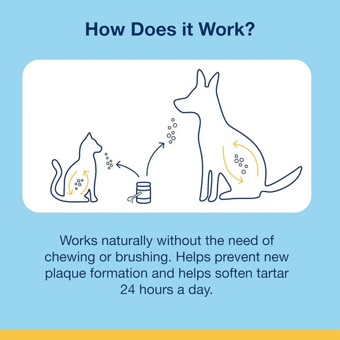 Diagram showing use of PlaqueOff Dental Care Seaweed Formula For Dogs And Cats Natural Tartar Control And Breath Freshening Supports Healthy Mouth And Gums 60g Easy Daily Dose No Fuss Oral Hygiene For Pets on pets.