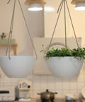 Two Cool White Hanging Planter Set, 8 Inch Indoor Outdoor Plant Pots With Drainage Hole in kitchen, one with greenery.