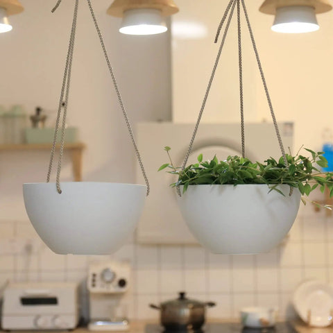 Two Cool White Hanging Planter Set, 8 Inch Indoor Outdoor Plant Pots With Drainage Hole in kitchen, one with greenery.