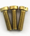 Top Shelf Brass Slotted Cheese Head Machine Screws Assortment Kit For Easy Diy Fixes And Reliable Electronics Work Heavy Duty Corrosion Resistant Hardware In Six Handy Sizes. Close-up of three brass slotted screws.