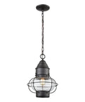 Onion Outdoor Pendant Light With One Bulb, Oil Rubbed Bronze Finish, Clear Seeded Glass Globe, Exterior Porch Ceiling Fixture, 10x10x14"