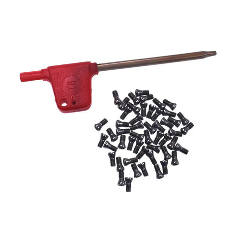 M2.5x6 Alloy Steel Torx Screws For Replacing Carbide Inserts In CNC Lathe Tools, 50 Pack With Wrench displayed