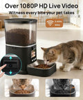 Automatic Cat Feeder With HD Camera And Two Way Video Chat Powered By 5G WiFi For Live Pet Monitoring Plus 5 Liter Food Storage with cat eating dry food.