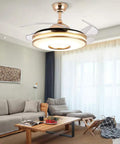 Living room with Retractable Gold Ceiling Fan With Light And Invisible Blades, 42 Inch Crystal Chandelier LED Lamp, stylish decor