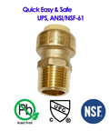 1/2 Inch Push To Connect PEX Fittings Straight Coupling Pack Of 6 Lead Free Brass Plumbing Fittings front view