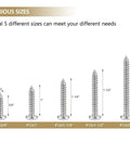 Heavy Duty Size 12 Phillips Pan Head Self Tapping Screw And Wood Screw Assortment Kit Various sizes from 3/4" to 2" shown.