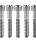 Top Shelf M6 By 15 Millimeter Titanium Grade Hex Head Bolts For Bicycle Seatpost Headset Brake System Knockout Cycle Hardware Fasteners Built Different in a row.