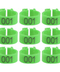 Green Pigeon Leg Bands Set With Numbered Foot Rings for bird identification and breeding, showing clip design, close-up view.