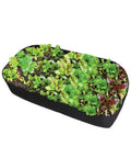 Fabric Raised Garden Bed 2Ft By 4Ft No Fuss Durable Planting Bed For Vegetables, Plants, And Flowers, full view with plants