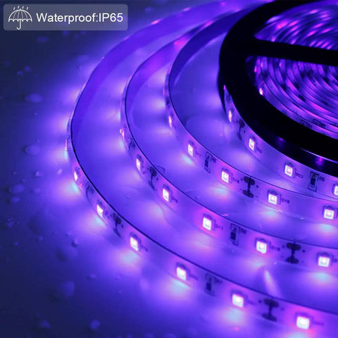 Ultra Bright 60W UV LED Black Light Strip Waterproof IP65 5M 300 LEDs 395nm-405nm SMD3528 glowing under water droplets