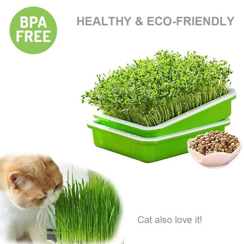 2 Pack Seed Sprouter Tray With Humidity Lid BPA Free Food Grade Soil Free Sprouting Kit for Wheatgrass and Cat Grass