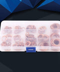 Top Tier Copper Flat Washer Assortment Set With M5 And M22 Sizes Perfect For Grounding Heat Conduction And Bolt Jobs On Machinery Frames Or Plumbing Projects Keeping Your Gear Cool And Connected Like Never Before. Copper washers in a plastic organizer