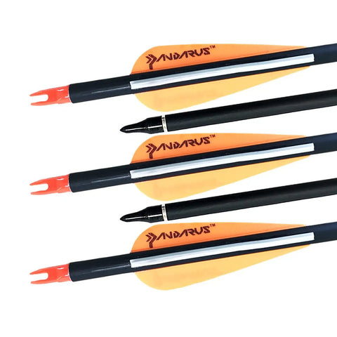32 Inch Carbon Practice Arrows Set of 12 for Youth Kid Friendly Compound and Recurve Bow Orange Removable Nocks